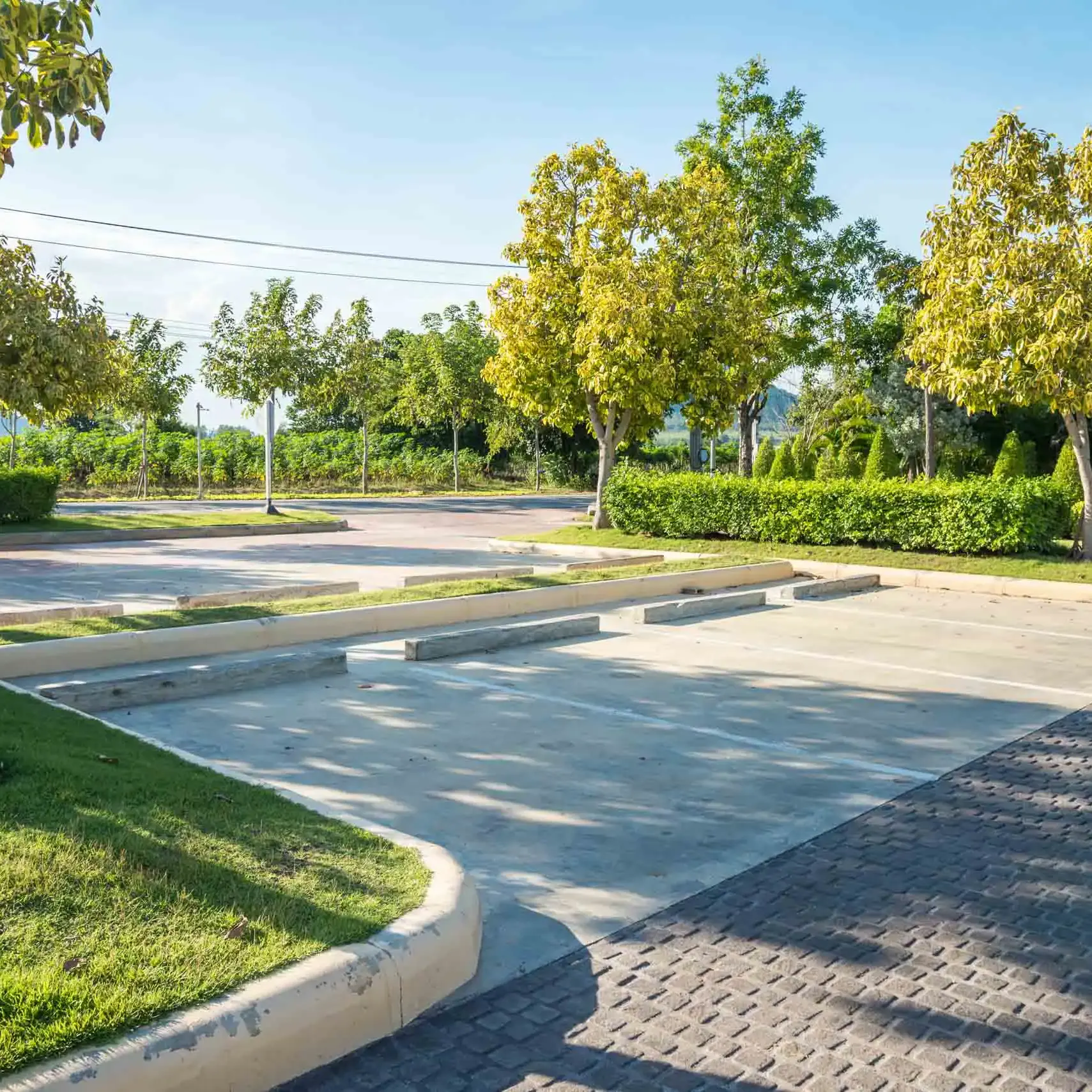 An empty parking lot with several parking spaces, surrounded by green trees and bushes under a clear blue sky on a sunny day.
