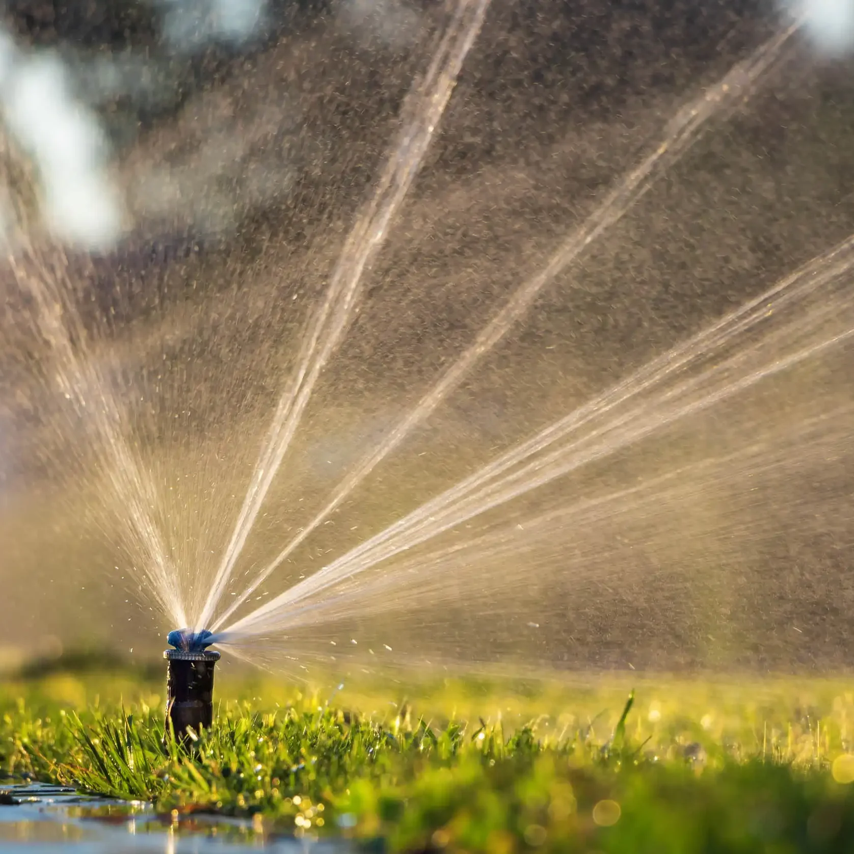 brookway-landscape-irrigation-23