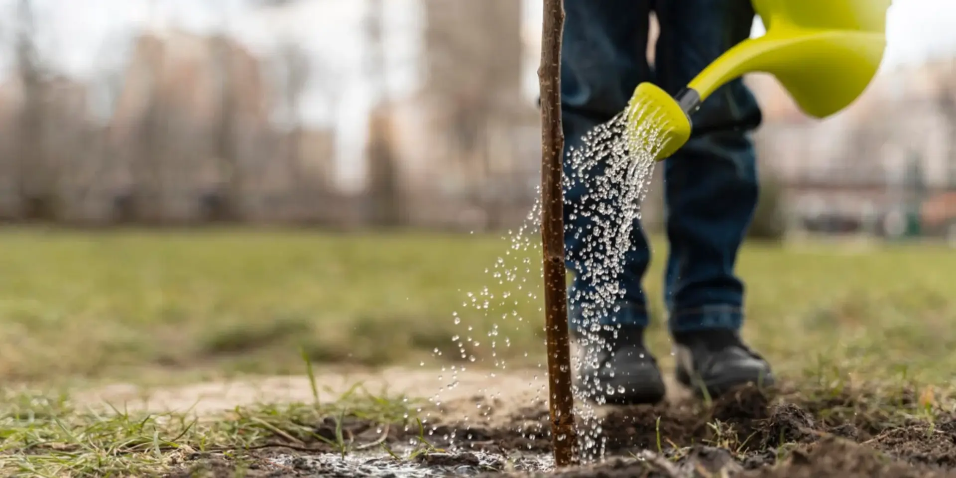 commercial lawn fertilization services across Texas