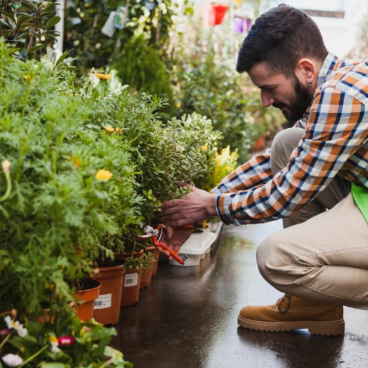 flower bed maintenance houston tx flower bed maintenance houston tx