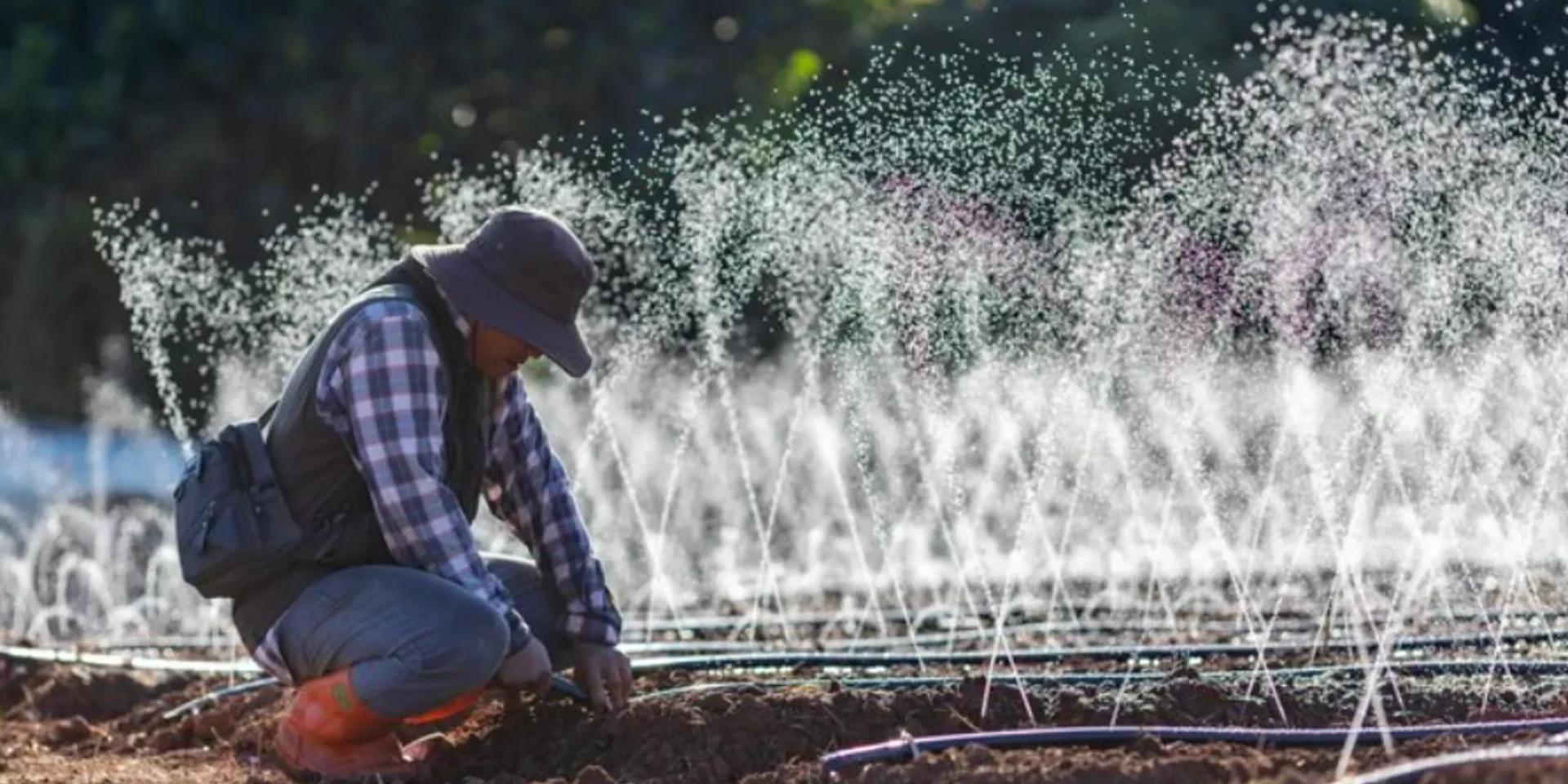 sprinkler system repair