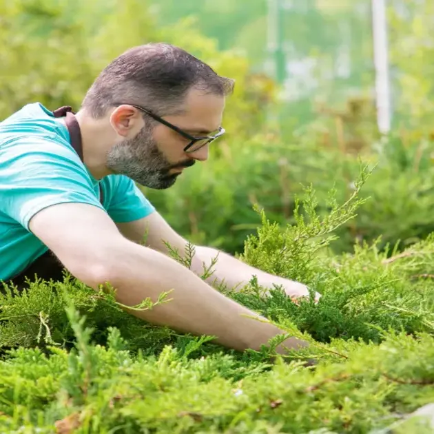 weed control company