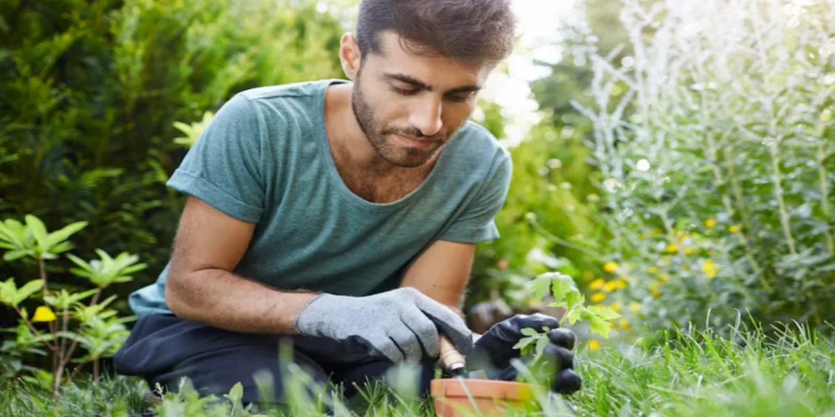 weed removal service weed removal service